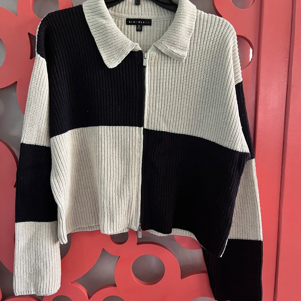 BLUEBLUSH Colorblock Double Zipper Sweater